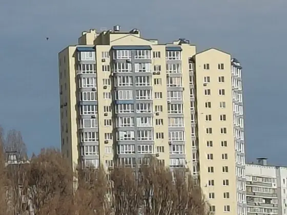 Рено13