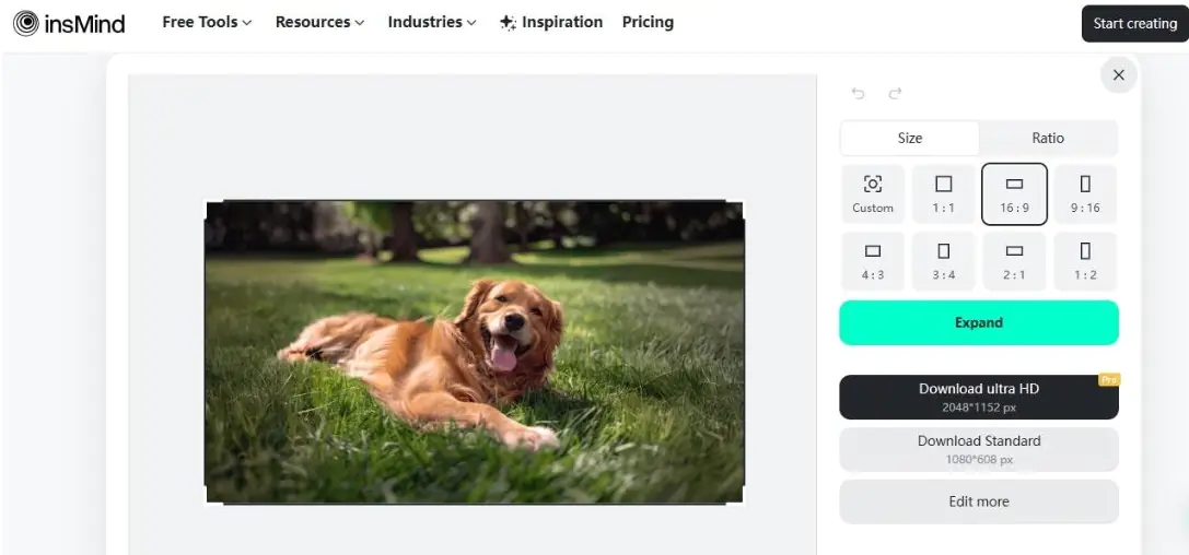 AI Image Expander