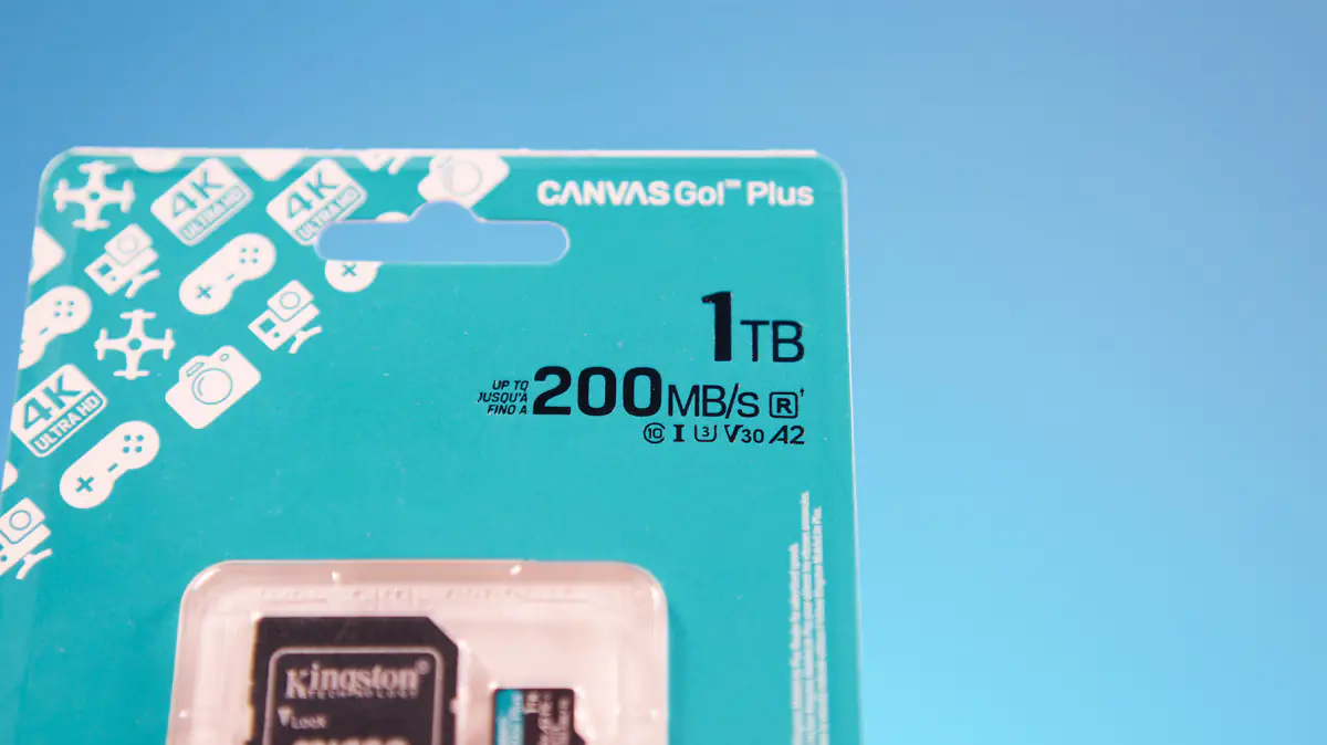 金士顿 Canvas Go! 加