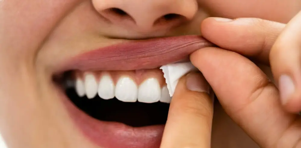 Túi đựng Nicotine hoạt động như thế nào