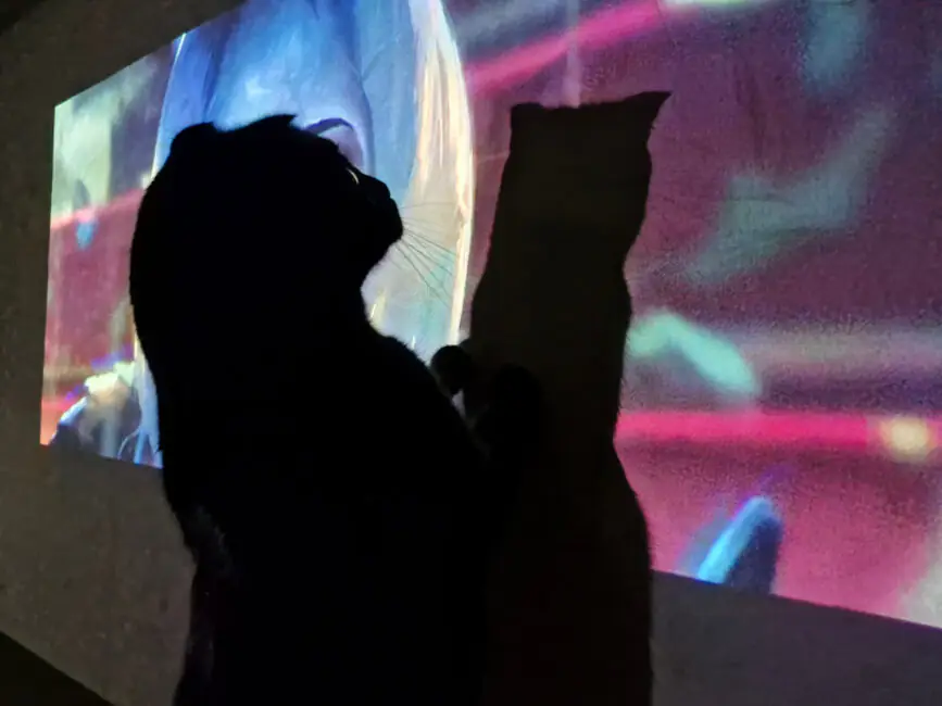 XGIMI Elfin Flip